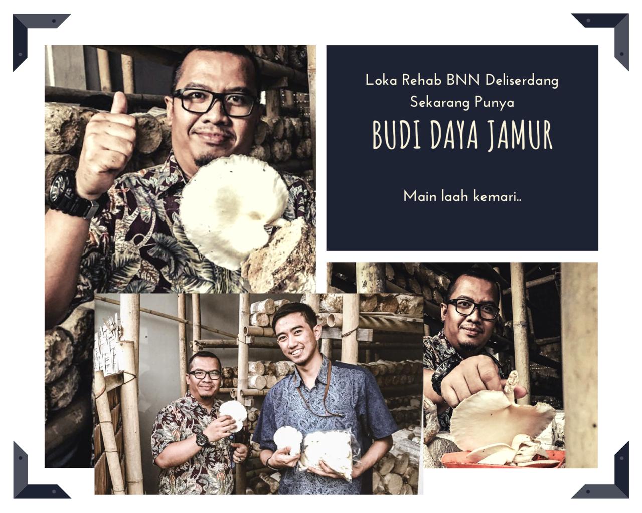Panen Bareng bersama Kepala Loka Panen Bareng bersama Kepala Loka