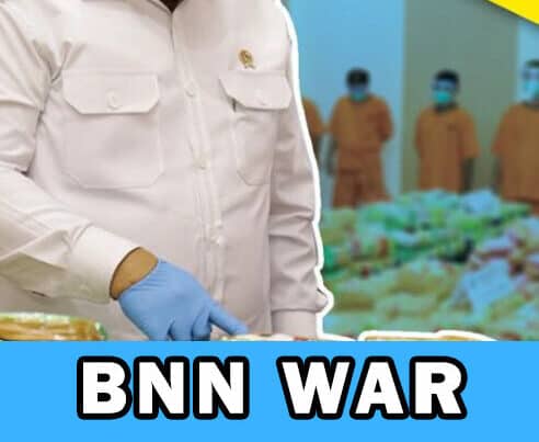BNN WAR ON DRUGS CONTINUES (repost from @infobnn_ri)